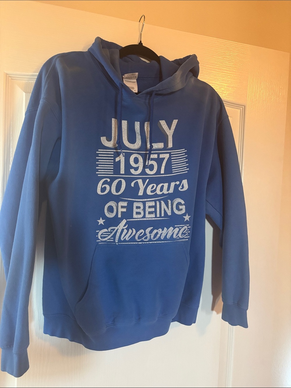 Gildan Blue Pullover Hoodie with White Print